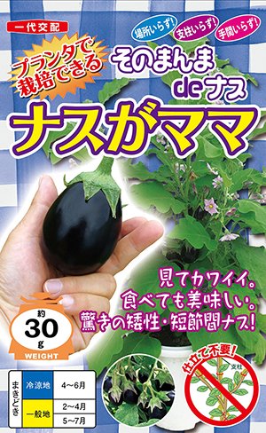楽天市場】ナス種【 ナスがママ 】ナント種苗 : みつのぶ × Flower Trail