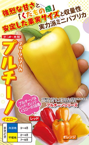 たね ナント種苗  ミニピーマン プルチーノ 黄色 100粒