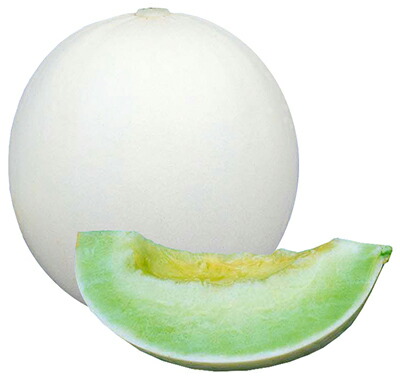 新鮮な緑色メロン 先行予約】 熊本県八代市産 肥後グリーンメロン 4L以上 1玉 約2kg 果物