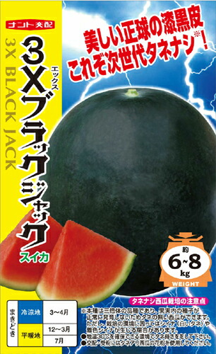 たね ナント種苗 スイカ 種子 ３Ｘブラックジャック（シードレス西瓜）100粒