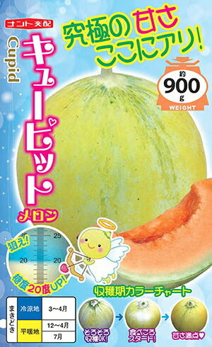 メロン出品① 夕張メロン 秀品 AK158 アークスオンラインショップ Arcs Online Shop