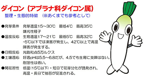 ナント種苗ダイコンスーパー夏信(なつのぶ)2dl