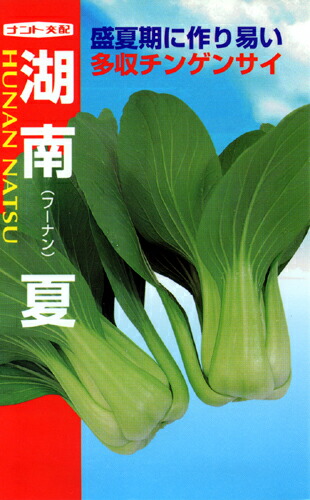 ナント種苗 青梗菜 湖南(フーナン)夏 2デシリットル