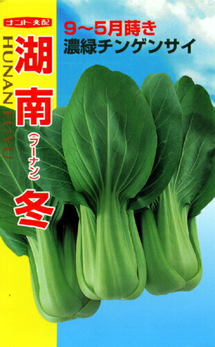 ナント種苗 青梗菜 湖南(フーナン)冬 2デシリットル