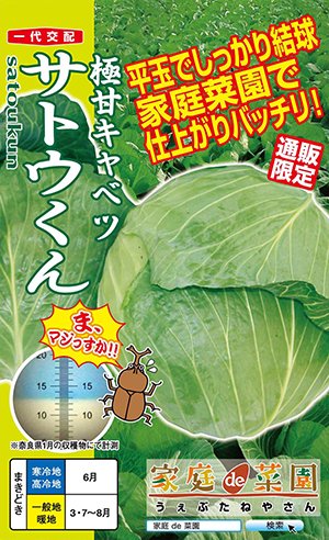 ナント種苗 キャベツ きゃべつ 甘藍　サトウくん　コート5000粒｜種苗・園芸ショップ 種もり