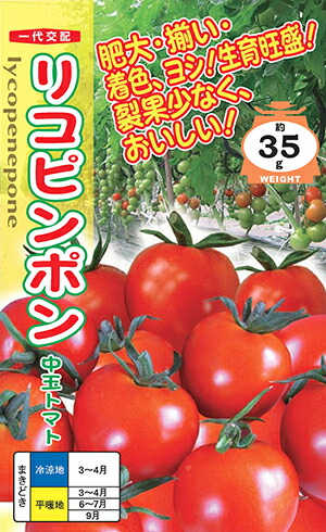 ナント種苗 トマト リコピンポン（中玉トマト）500粒｜種苗・園芸ショップ 種もり 18,041円