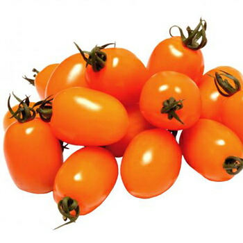 楽天市場】山陽種苗 トマト とまと レッドチェリー 小袋 : 種苗・園芸