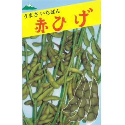 えだまめページ えだまめチャック袋小100枚(販売終了) | 収穫・出荷資材 通販