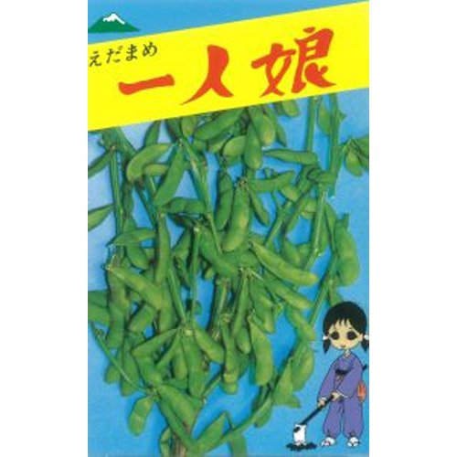 楽天市場】岩手みどり豆 佐藤政行種苗の晩生エダマメ品種です