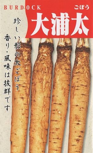 たね 佐藤政行種苗 牛蒡 ごぼう 大浦太ゴボウ 1L