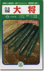 シード キュウリ きゅうり 胡瓜 大将 350粒|種苗・園芸ショップ 種もり