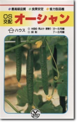 シード　キュウリ きゅうり 胡瓜　オーシャン　350粒