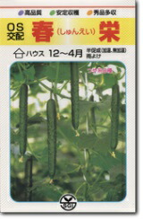 シード　キュウリ きゅうり 胡瓜　春栄 　350粒