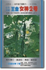 シード キュウリ きゅうり 胡瓜 王金女神2号 20ml