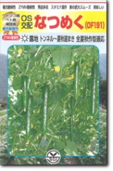 シード 胡瓜 きゅうり 黄瓜  なつめく 350粒