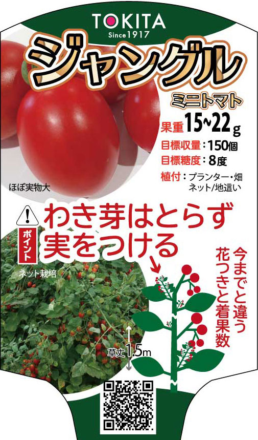 楽天市場 トキタ種苗 ミニトマト ジャングルトマト 100粒 種苗 園芸ショップ 種もり