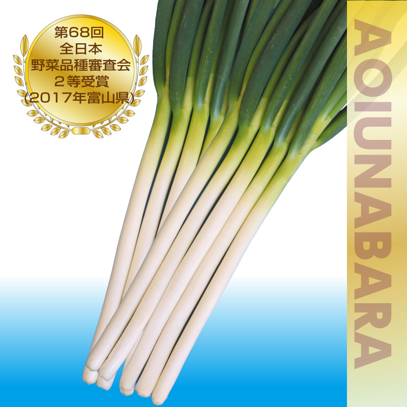 ネギ 大河の轟き 5000粒 有効期限11月 153833613.jpg?cmsp_timestamp=