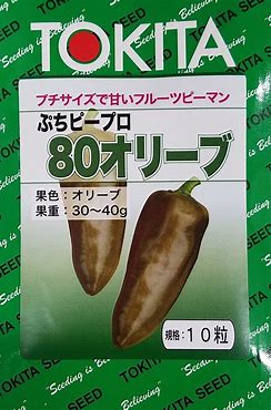トキタ種苗 ピーマン ぷちピープロ・オリーブ 100粒|種苗・園芸ショップ 種もり