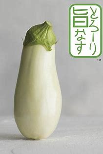 R⭐︎商品　茄子　なす　ナス Amazon.co.jp: ITANSE ナス苗 すずなりトロトロなすの苗