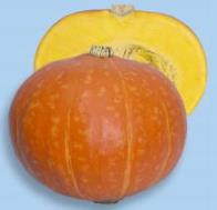 たね 渡辺採種場　カボチャ　紅爵　500粒 16,500円