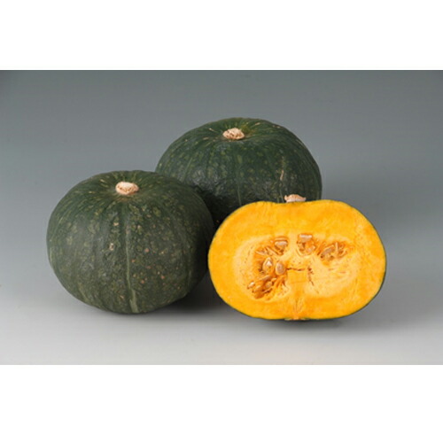 八江農耕 西洋カボチャ 西洋カボチャ かぼちゃ 笑盃 500粒 種子-野菜の種子-花・ガーデン・DIY