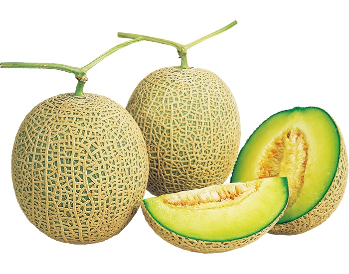 オルフェメロン オルフェ[メロン] - e-種や｜国内最大級の野菜種・花種・苗