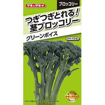 楽天市場 タキイ種苗 野菜 種子 アイスプラント タネのタキイ 楽天市場店