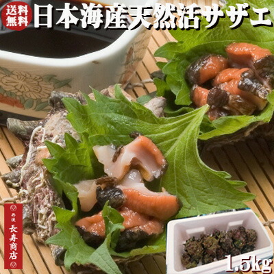 【楽天市場】日本海産★天然活サザエ1.5kg【約15個】【天然サザエ】【クール冷蔵便】【新鮮サザエ】【生きたまま発送】【バーベキュー サザエ】【BBQ サザエ】【サザエ壺焼き】【サザエ 刺身】【さざえ 送料無料】【サザエ 贈り物】【サザエ 御中元】:丹後長寿商店-スイーツ・米・蟹-
