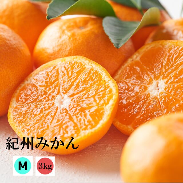 楽天市場】ハウスみかん8個入り×4パック 和歌山産 ギフト 送料無料