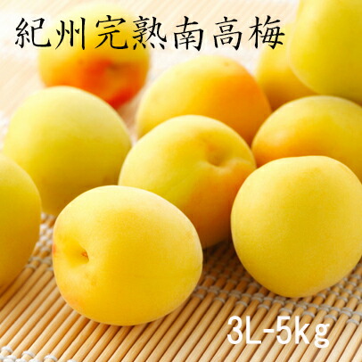 【キズ有り】本場紀州の南高梅(完熟）梅干し用　大粒　3L　５kg【送料無料】南高梅・生梅・梅・梅酒・梅ジャム・梅ジュース・うめ・生梅・みなべ