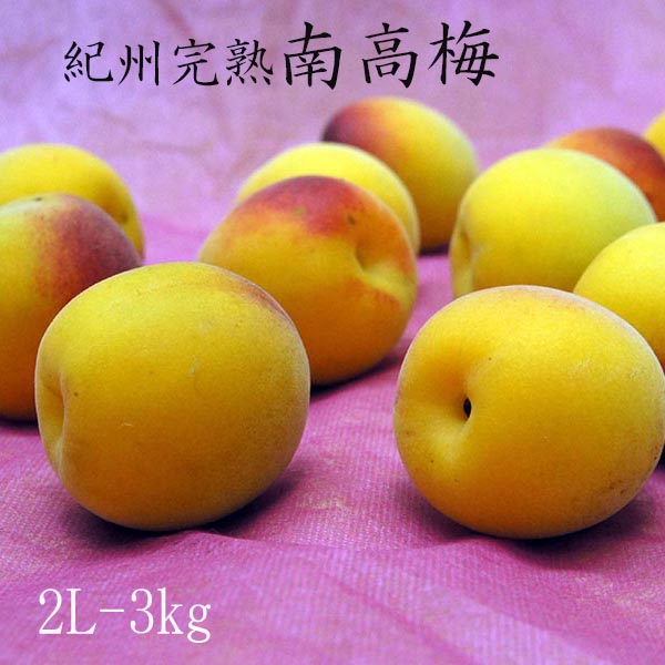 【キズ有り】本場紀州の南高梅<br>(完熟）梅干し用　<br>２L～L　3kg　6,800円　<br><br>南高梅・生梅・梅・梅酒・梅シロップ・梅ジュース・うめ・生梅・みなべ