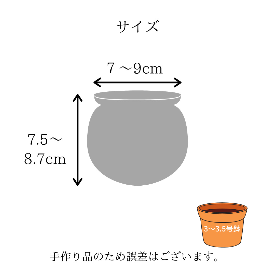 楽天市場 変わってる植木鉢 可愛い 観葉植物 多肉植物 サボテンポット ガーデン セラミック プランター 漫画ポット 屋外ガーデン ホーム デコレーション窓辺インテリア 多肉の森