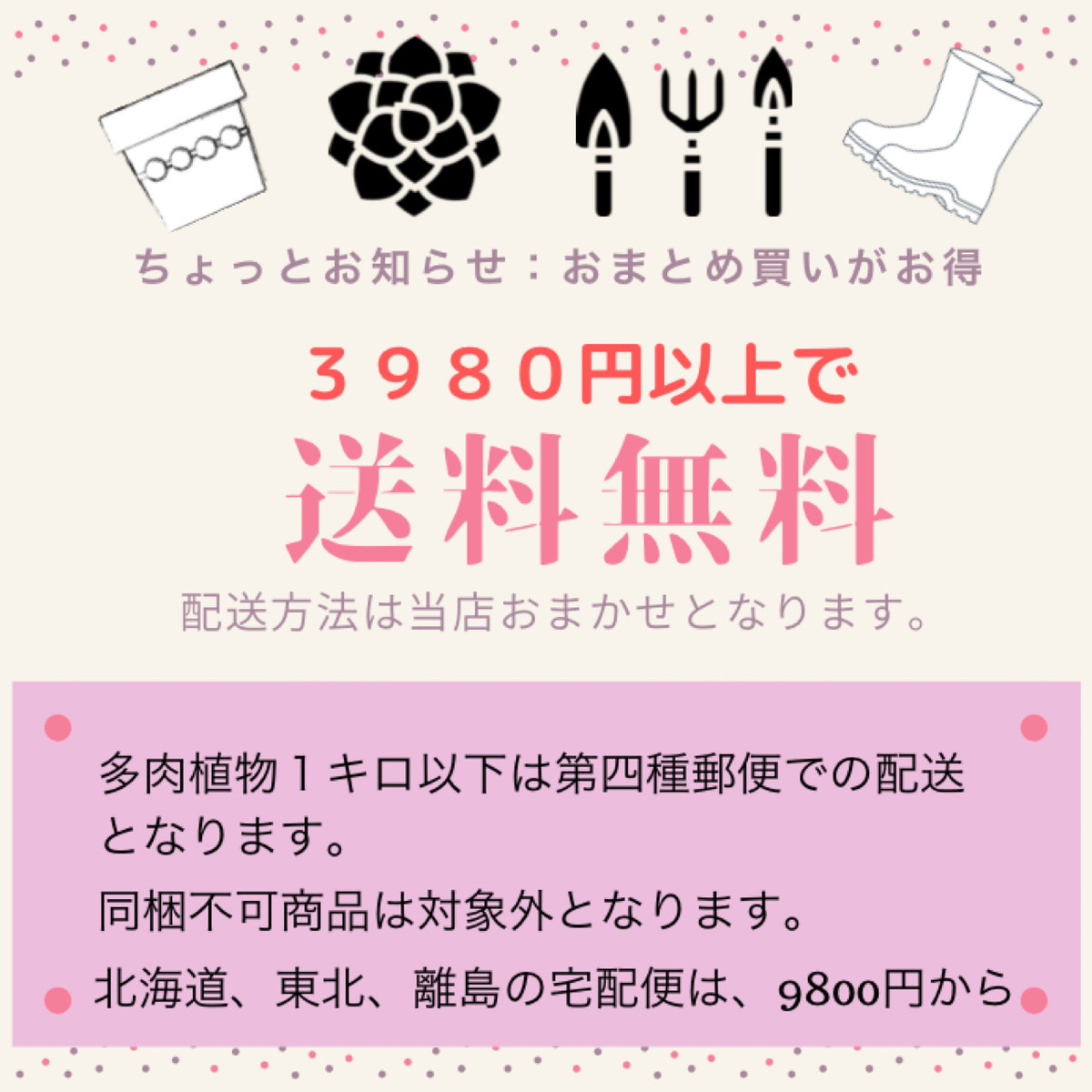 楽天市場 華やかで絢爛豪華な絵付けの植木鉢 多肉の森