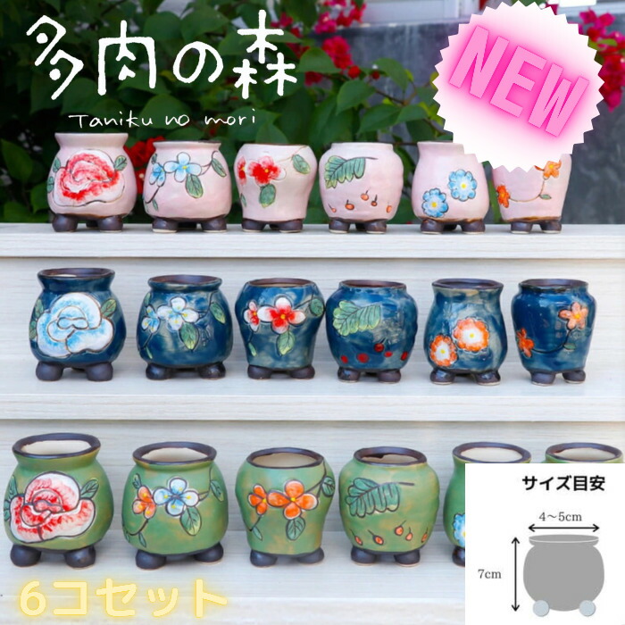 楽天市場 セール 小ぶりサイズ韓国鉢6点セット 手描き 陶器 植木鉢 焼き物 2号サイズ 部屋に飾っても可愛い 多肉の森