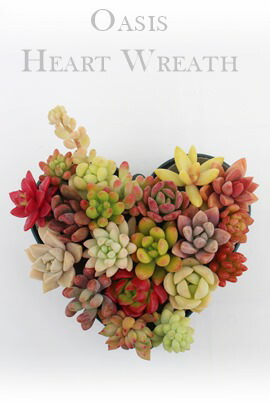 オアシスハートの贈り物 21母の日 多肉植物の寄せ植え 一部地域除き送料無料 可愛い 母の日多肉植物 母の日贈り物 ギフト 母の日おしゃれ 可愛い花 母の日ギフト花 オアシスハートの贈り物 21母の日多肉植物の寄せ植え 一部地域除き送料無料 可愛い 母の日多肉植物 母