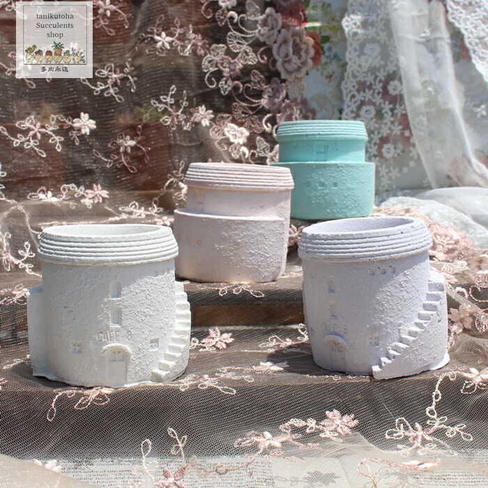 楽天市場】メリーゴーランド鉢 陶器鉢 多肉永遠鉢 : 株式会社多肉永遠