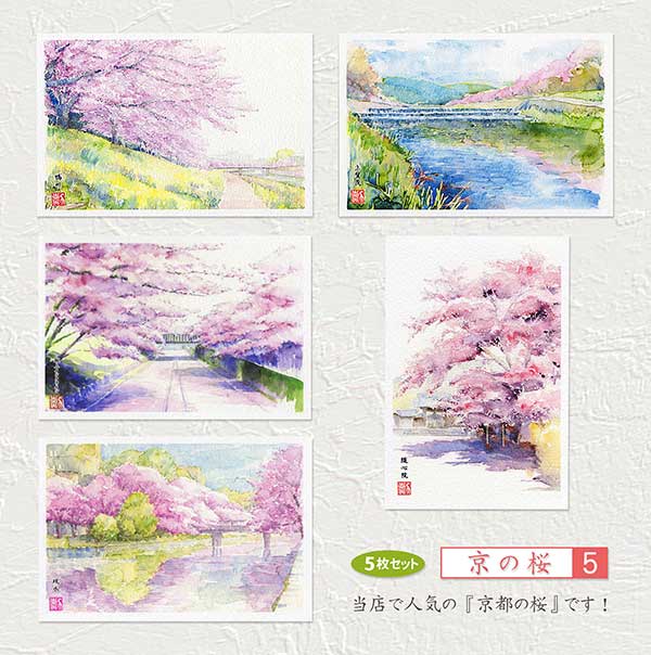 日本画 上賀茂の櫻