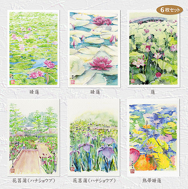 紫陽花 水彩画 色紙 短冊 7枚セット 1_54bb6270db6aa44c93bcfda8f62f