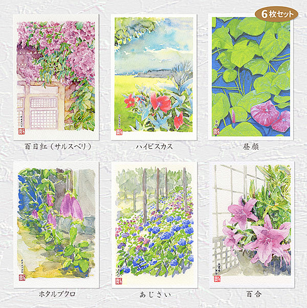 楽天市場 夏の花１ ６枚セット ポストカードセット 絵はがきセット 絵葉書 花 初夏 紫陽花 アジサイ 芙蓉 フヨウ 昼顔 ヒルガオ 百日紅 サルスベリ ヒマワリ 少女 女の子 姉妹 水彩画 タニムラ ポストカード ストア