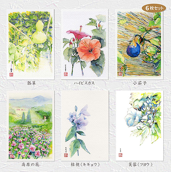 楽天市場】キキョウ1 ( 桔梗 夏のお便り 水彩画 ) ☆当店オリジナル