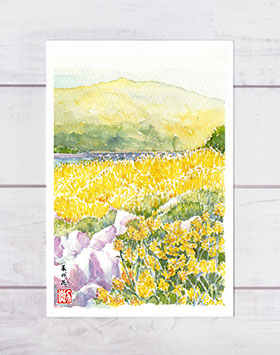 楽天市場 春の花 嵐山 菜の花 ポストカード 絵葉書 絵はがき 春 花 菜の花 花畑 桂川 渡月橋 山並 京都 和風 水彩画 風絵画 タニムラ ポストカード ストア