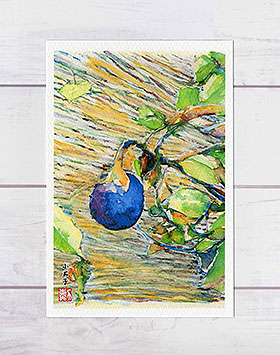 楽天市場 小茄子 ポストカード 絵葉書 絵はがき 夏 なす ナス 水彩画 風景画 和風 タニムラ ポストカード ストア