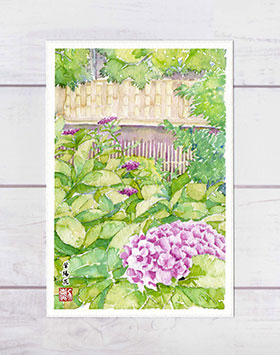 水彩画『百日紅』 楽天市場】百日紅 [ サルスベリ ] ( ピンク色 水彩画 風景画