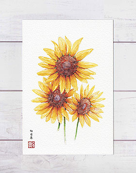 楽天市場】ひまわり 4枚セット ( 夏 真夏 猛暑 向日葵 サンフィニティ