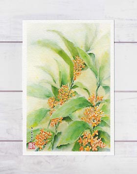 楽天市場】センニチコウ [ 千日紅 ] ( 水彩画 風景画 ) ☆当店
