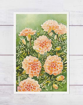 水彩画(ダリア)№164 水彩画(ダリア)№164 絵画