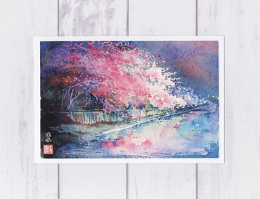 楽天市場】円山公園 [ 京都の桜 ライトアップ ]( 春 夜桜 さくら