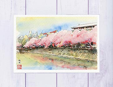 楽天市場】蹴上インクライン3 [ 京都の桜 ] ( 春 さくら 蹴上 インク