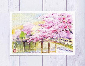 楽天市場】鴨川1 [ 京都の桜 ] ( 春 桜並木 和風 水彩画 風景画