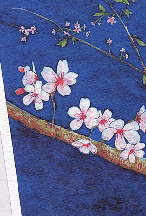 楽天市場 京都の桜 御室の桜 日本画 夜桜 ポストカード 絵葉書 絵はがき 春 桜 さくら 風景画 京都 御室桜 和風 タニムラ ポストカード ストア